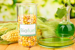 Cotton biofuel availability