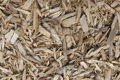 biomass boilers Cotton